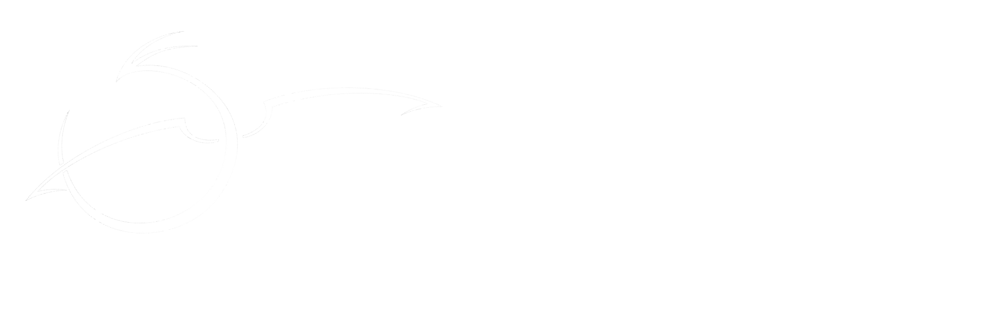 logo Dracoforge complet blanc sur fond transparent