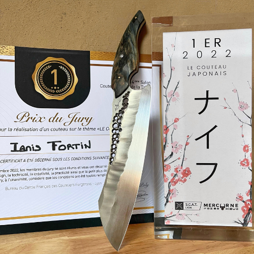 Couteau de cuisine artistique Megaptera avec prix du couteau japonais de Lyon 2022 attribué à Dracoforge