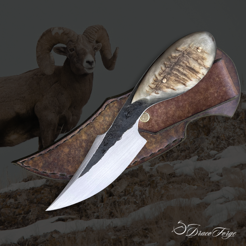 Dent de Lune 17 couteau de chasse court artisanal corne de bélier acier carbone Dracoforge Dent de Lune 17 couteau de chasse court artisanal corne de bélier acier carbone et son étui cuir fait main assorti Dracoforge