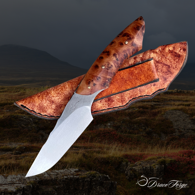 Tundra 4 petit couteau de chasse inox thuya Dracoforge Tundra 4 petit couteau de chasse en acier inoxydable et racine de thuya par Dracoforge